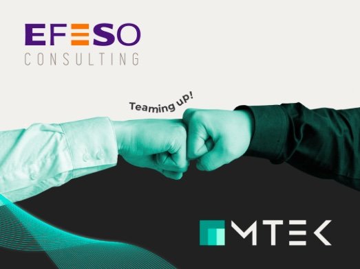 EFESO Consulting and MTEK Industry Enter Into a Partnership